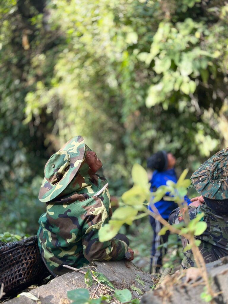 Locals witnessing the honey hunting process.